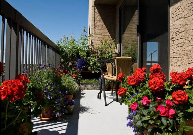 2023流行的家居庭院地面材料大集合，量身塑造千姿百态庭院景观！
